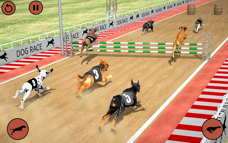 Tuyệt Chiêu Chơi Game Nhanh Đua Chó Tại Bon68 Thắng Đậm Tiền Tỷ