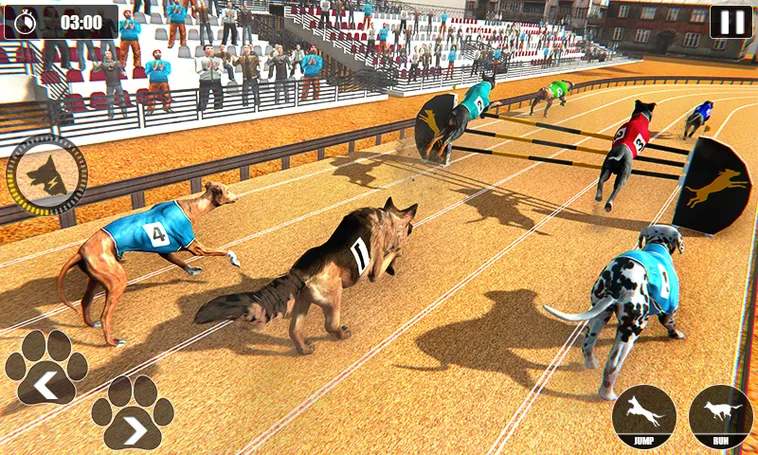 Tuyệt Chiêu Chơi Game Nhanh Đua Chó Tại Bon68 Thắng Đậm Tiền Tỷ
